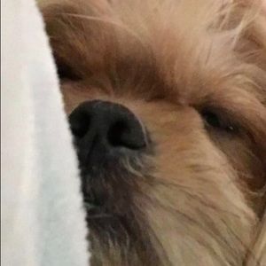 Meet your Posher, Serenity